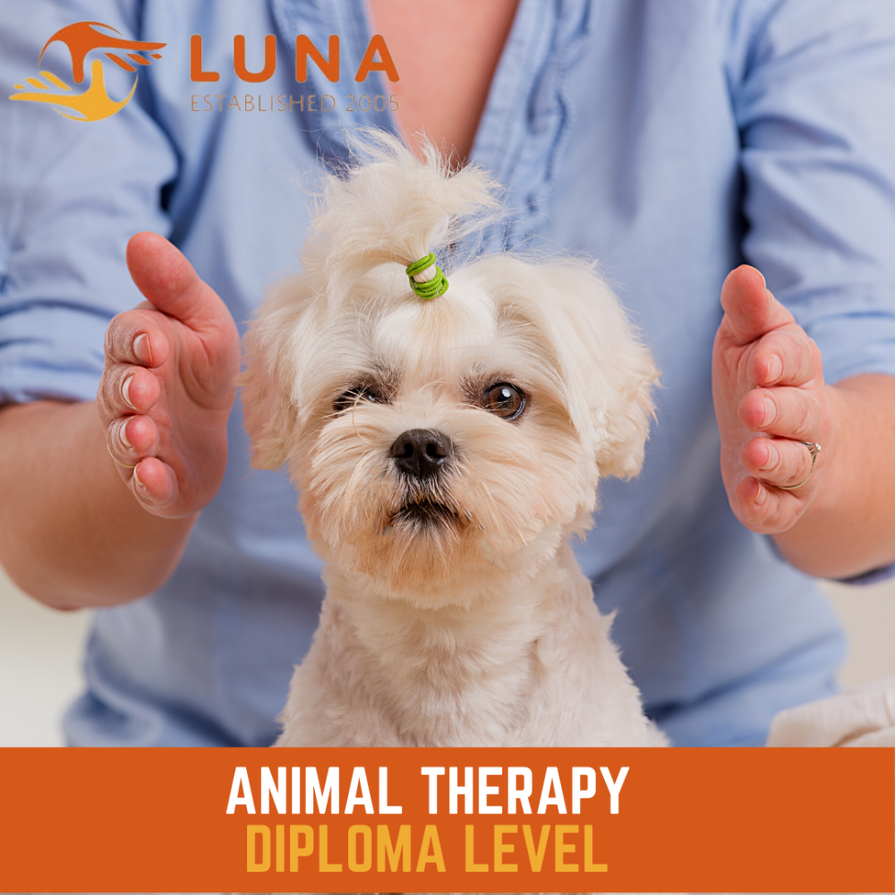 Animal therapy Diploma accredited training course, iphm approved for