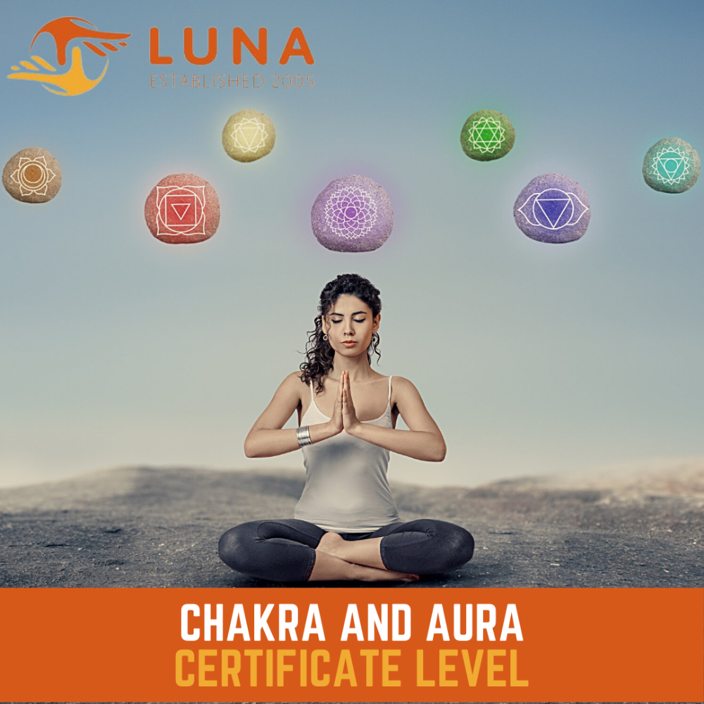 Chakra and aura accredited training course home study learn